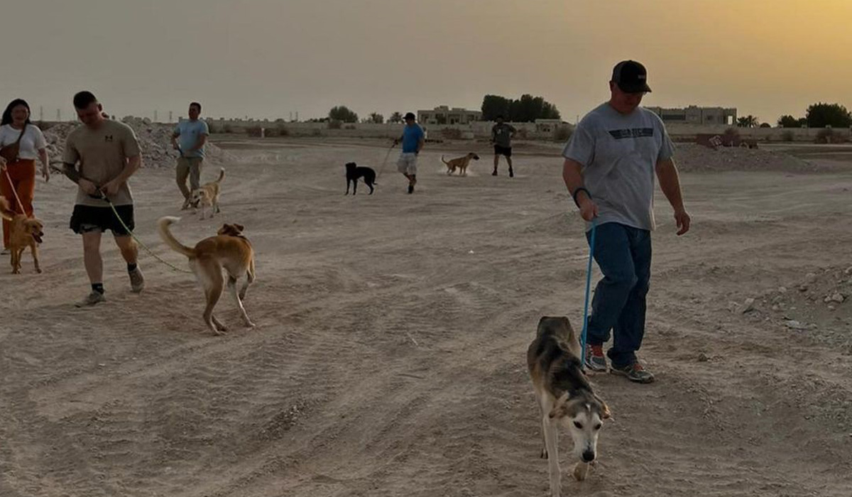 Armed men kill 29 dogs, puppies in Qatar, sparking outrage